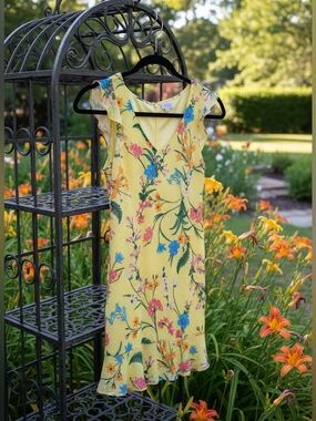 Belle & Sky dress